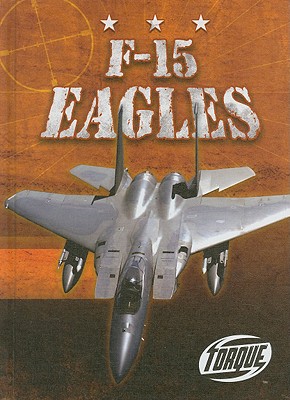 F-15 Eagles - David, Jack