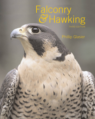 Falconry and Hawking - Glasier, Phillip