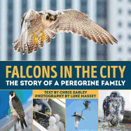 Falcons in the City: The Story of a Peregine Family