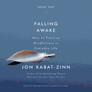 Falling Awake: How to Practice Mindfulness in Everyday Life