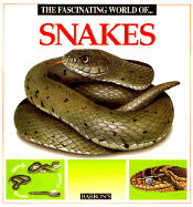 Fascinating World of Snakes