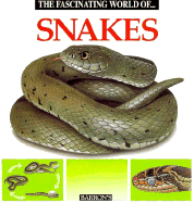 Fascinating World of Snakes