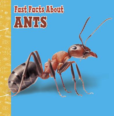 Fast Facts About Ants - Amstutz, Lisa J.