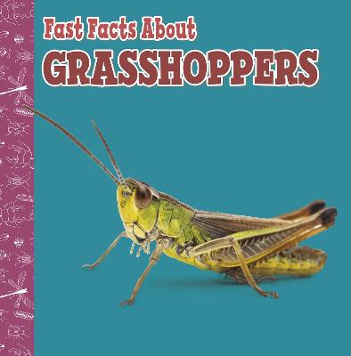 Fast Facts About Grasshoppers - Garstecki-Derkovitz, Julia
