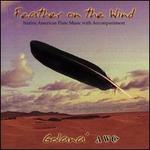 Feather On The Wind: Native American Flute Music With Accompaniment