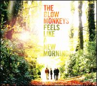 Feels Like a New Morning - The Blow Monkeys