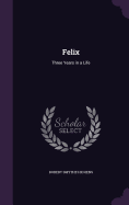 Felix: Three Years in a Life