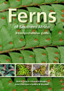 Ferns of Southern Africa: A Comprehensive Guide (PVC): A Comprehensive Guide