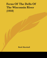 Ferns Of The Dells Of The Wisconsin River (1910)