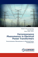 Ferroresonance Phenomenon in Electrical Power Transformers