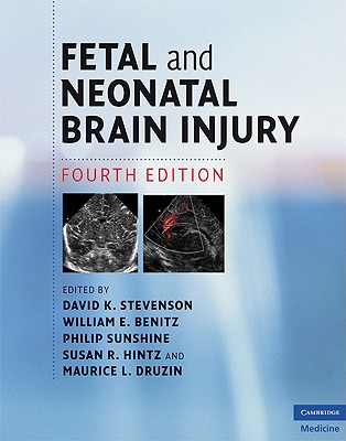 Fetal and Neonatal Brain Injury - Stevenson, David K (Editor), and Benitz, William E, MD (Editor), and Sunshine, Philip (Editor)