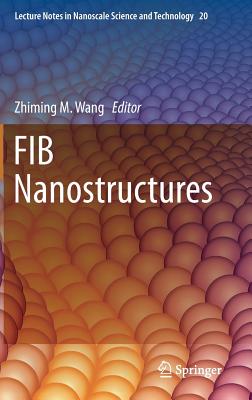 FIB Nanostructures - Wang, Zhiming M. (Editor)