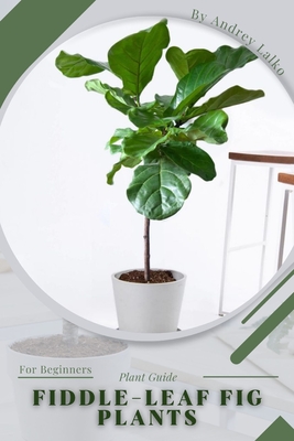 Fiddle-leaf Fig Plants: Plant Guide - Lalko, Andrey