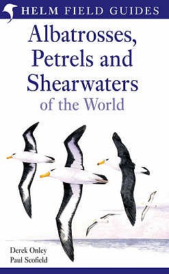 Field Guide to Albatrosses, Petrels and Shearwaters of the World - Scofield, Paul, Mr.