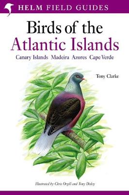 Field Guide to the Birds of the Atla - Clarke, Tony, Car