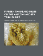 Fifteen Thousand Miles on the Amazon and Its Tributaries