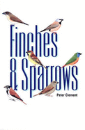 Finches and Sparrows: An Identification Guide