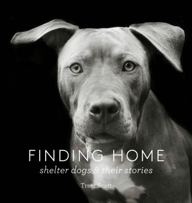 Finding Home: Shelter Dogs and Their Stories - Scott, Traer