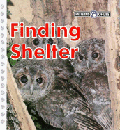 Finding Shelter - Butler, Daphne
