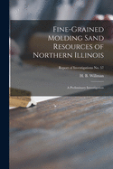 Fine-Grained Molding Sand Resources of Northern Illinois: A Preliminary Investigation (Classic Reprint)