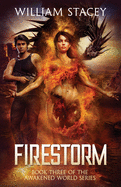 Firestorm: An Urban Fantasy Military Adventure