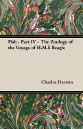 Fish - Part IV - The Zoology of the Voyage of H.M.S Beagle: Under the Command of Captain Fitzroy - During the Years 1832 to 1836