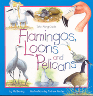 Flamingos, Loons & Pelicans