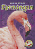 Flamingos - Borgert-Spaniol, Megan