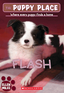 Flash (the Puppy Place #6)