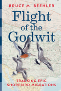 Flight of the Godwit: Tracking Epic Shorebird Migrations