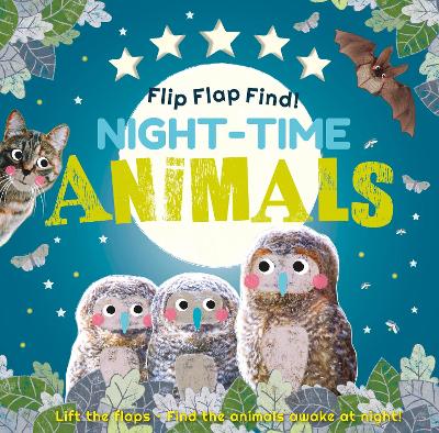 Flip Flap Find! Night-time Animals - DK