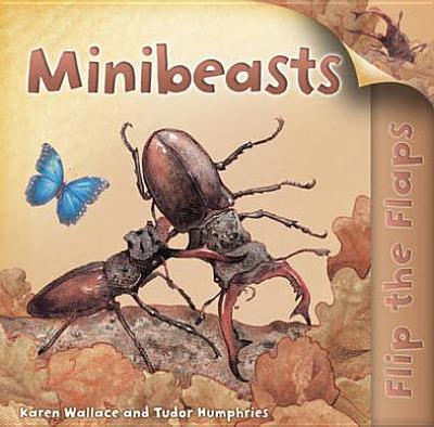 Flip the Flaps: Minibeasts - Wallace, Karen