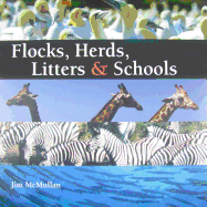 Flocks, Herds, Litters & Schools
