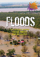 Floods: The Science Behind Raging Waters and Mudslides