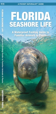 Florida Seashore Life: A Waterproof Folding Guide to Familiar Animals & Plants - Waterford Press, and Leung, Raymond (Illustrator)
