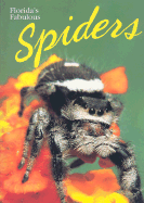 Florida's Fabulous Spiders