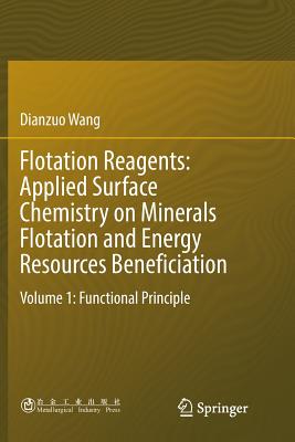 Flotation Reagents: Applied Surface Chemistry on Minerals Flotation and Energy Resources Beneficiation: Volume 1: Functional Principle - Wang, Dianzuo