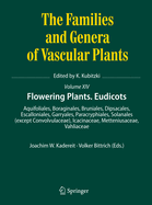 Flowering Plants. Eudicots: Aquifoliales, Boraginales, Bruniales, Dipsacales, Escalloniales, Garryales, Paracryphiales, Solanales (Except Convolvulaceae), Icacinaceae, Metteniusaceae, Vahliaceae