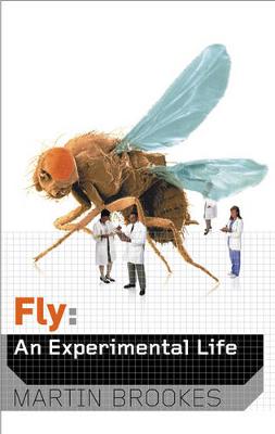 Fly: An Experimental Life - Brookes, Martin