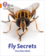 Fly Secrets: Band 06/Orange