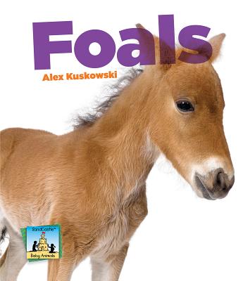 Foals - Kuskowski, Alex