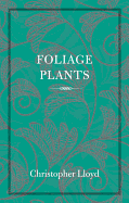 Foliage plants