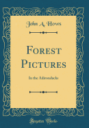 Forest Pictures: In the Adirondacks (Classic Reprint)