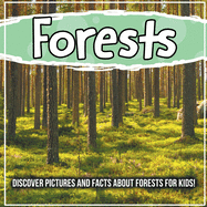 Forests: Discover Pictures and Facts About Forests For Kids!