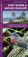 Fort Myers & Naples Wildlife: A Folding Pocket Guide to Familiar Animals of Southwestern Florida