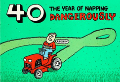 Forty: The Year of Napping Dangerously