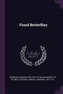 Fossil Butterflies