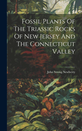 Fossil Plants Of The Triassic Rocks Of New Jersey And The Connecticut Valley