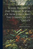 Fossil Plants Of The Triassic Rocks Of New Jersey And The Connecticut Valley