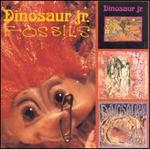 Fossils - Dinosaur Jr.